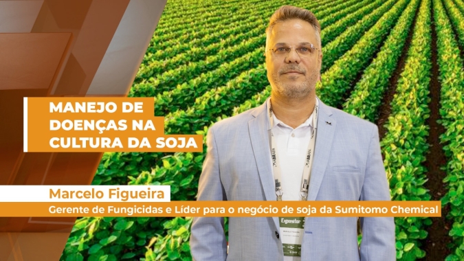 Doenças da soja exigem manejo que incluam rotação de ativos e modos de ação, com o uso de produtos que garantam o combate à resistência dos patógenos