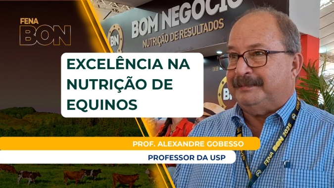 Cavalos exigem nutrição de qualidade, mas precisam, acima de tudo, ter suas características respeitadas