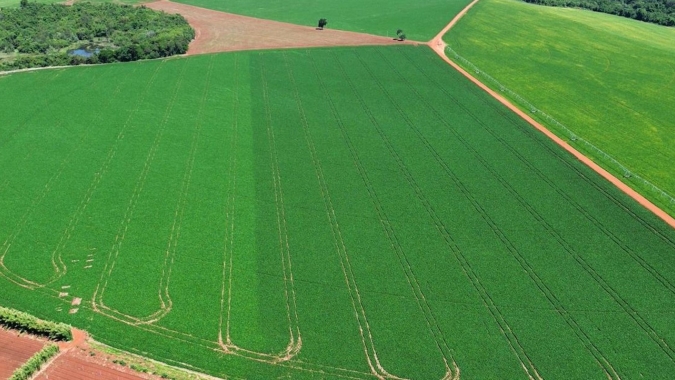 Regulador de crescimento promete mais produtividade e controle no manejo da soja e feijão