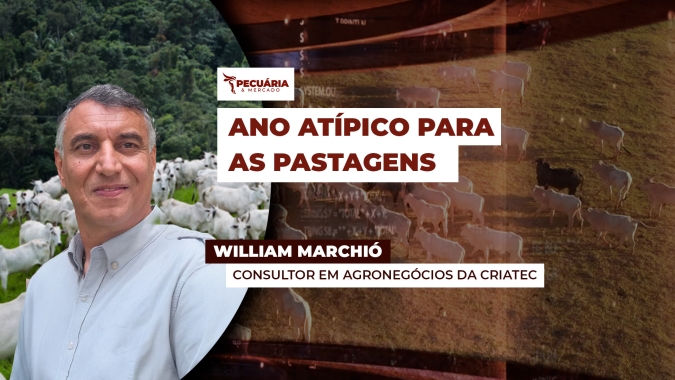 Chuvas tardias garantem condições favoráveis para os pastos por mais 20 ou 30 dias, em algumas regiões pecuárias