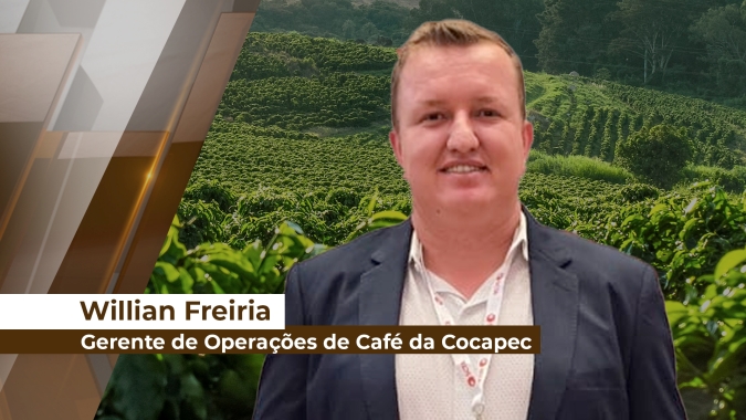 Estiagem prolongada já afeta produtividade e safras futuras de café na Alta Mogiana