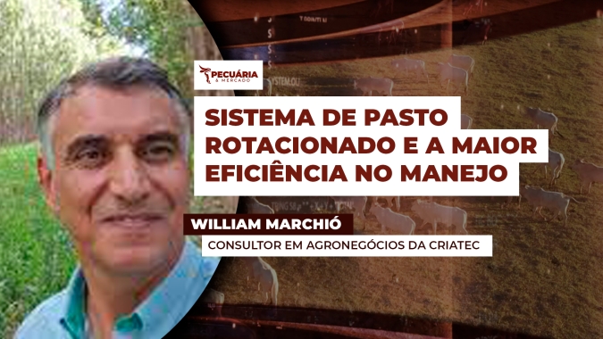 O sistema permite melhorar o desempenho dos animais e ampliar a oferta na fazenda