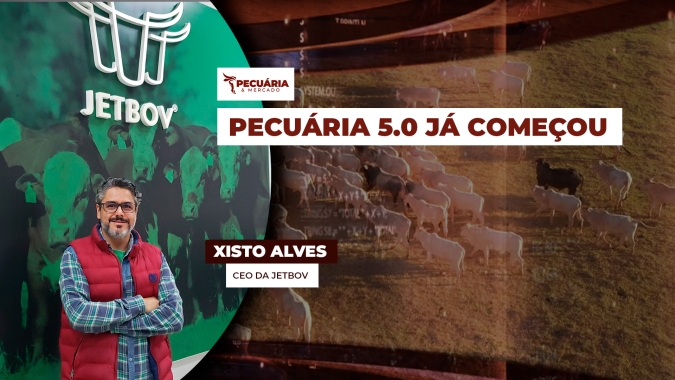 A Pecuária 5.0 integra dados e tecnologia para modernizar a gestão das propriedades focadas em bovinos de corte