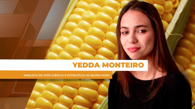 Preços do milho sustentados no Brasil com mercado de olho no clima para safrinha