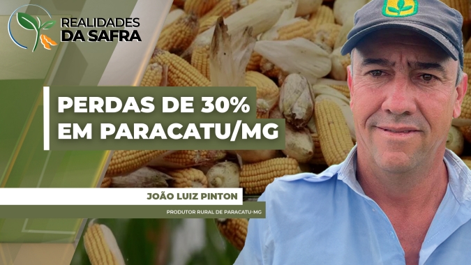 Safrinha de milho em Paracatu/MG tem perda consolidada em 30% e previsões não são boas para frente