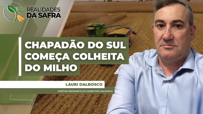 Colheita do milho começa em Chapadão do Sul/MS com boas projeções de produtividade