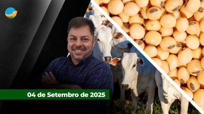 Agosto fecha com segundo maior volume exportado de carne bovina no ano; preços da soja em reais seguem sustentados pelos prêmios