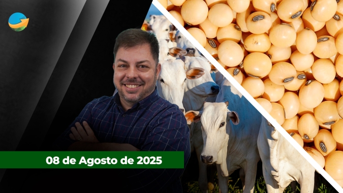 Arroba do boi gordo tem semana de alta com melhora da demanda e oferta limitada de animais; soja perde força com previsão de safra cheia nos EUA