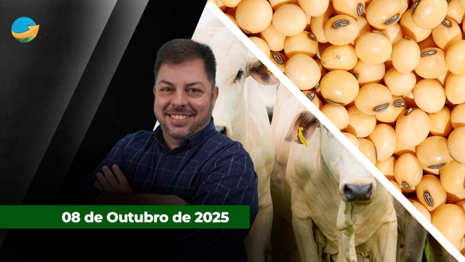 Fechamento de Mercado