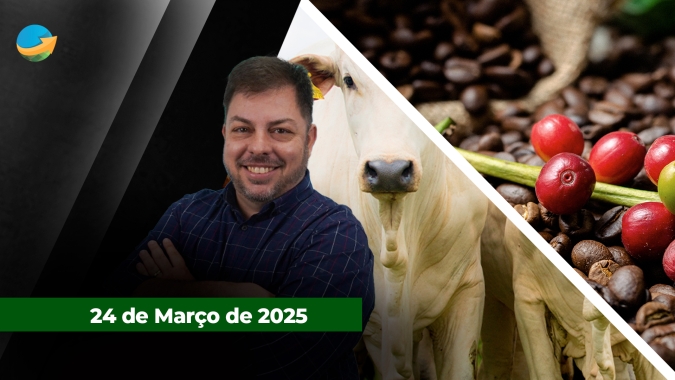 Prêmios da soja seguem elevados, refletindo a demanda forte pela soja brasileira: exportações de carne bovina seguem fortes e com volumes diários 50% maiores