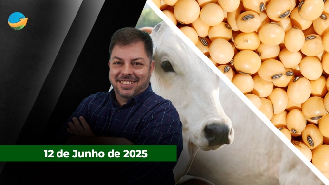 Com as recentes altas da arroba, escalas de abate têm ligeira ampliação em SP; relatório morno do USDA pressiona soja em Chicago