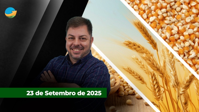 O mercado de grãos , oferta e demanda no Brasil e no mundo e o cenário para os preços