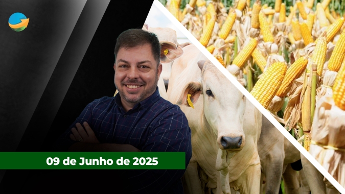 Semana começa com alta para boi China e novilha em SP e sinaliza força das exportações; milho realiza lucros e fecha em queda na CBOT