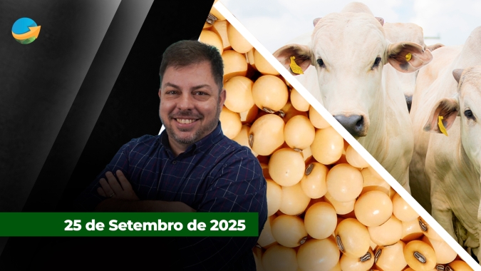 Argentina negocia 2,7 milhões toneladas e fatura US$7 bi com soja em três dias e retoma cobrança de imposto; Arroba do boi reage em praças de GO e MT