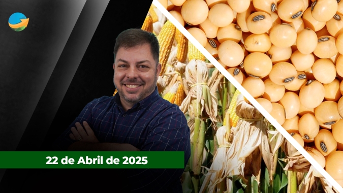 Câmbio e avanço do plantio nos EUA pressionam mercado do milho; Soja encerra em alta, mas movimento é limitado por óleo e farelo