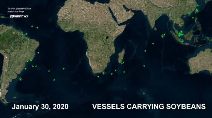 Soja navios