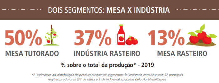 tomate hf brasil cepea