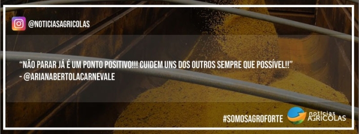 depoimento 8