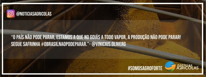 depoimento 5