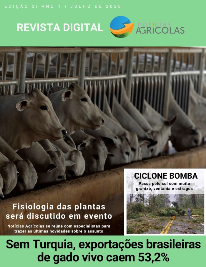 revista 3