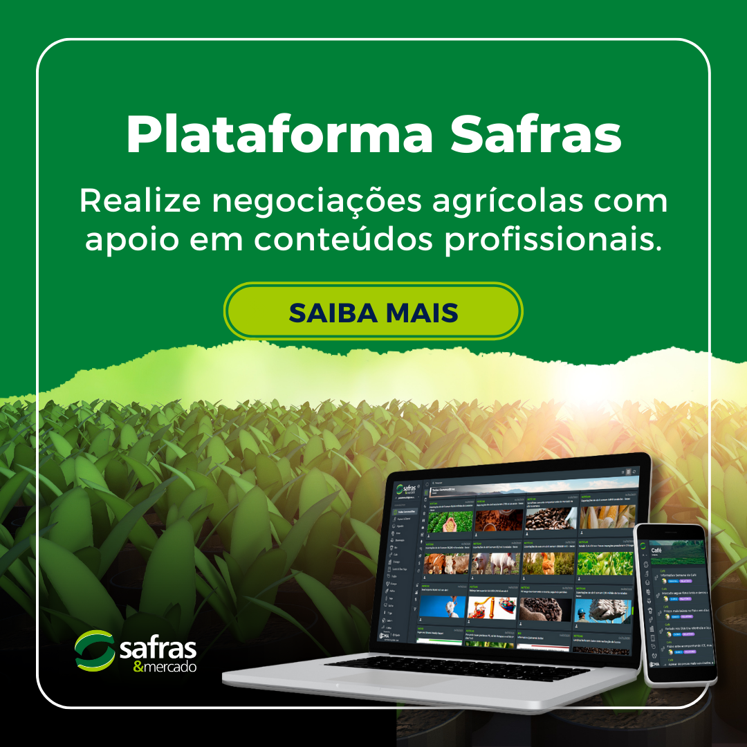 Safras